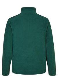 Zelený fleecový svetr s vysokým límcem. Měkká textura, dlouhé rukávy a rovný lem. Zapínání na zip na zádech s logem poblíž límce.