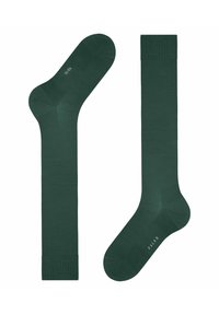 FALKE CLIMAWOOL - Calzettoni - hunter green