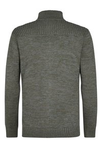 Grüner Strickpullover mit hohem Kragen, aus einem strukturierten, weichen Stoff und mit Rippdetails am Kragen und an den Bündchen. Rückansicht.