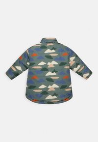 Petit Bateau DOUDOUNEVAL UNISEX - Vinterjacka - vallee/multico