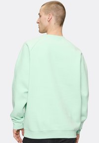 Sergio Tacchini SIMBA - Mikina - birds egg green