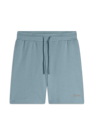 REGULAR FIT WITH SIDE VENTS - Pantalón corto de deporte - light blue