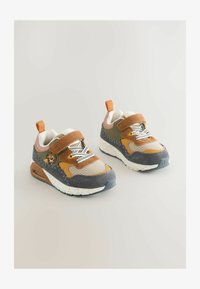 Nepasirinkta, brown lion