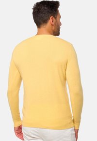 Pull en rond léger jaune clair avec de longues manches, poignets et ourlet côtelés. Texture douce et design simple. Vu de dos.