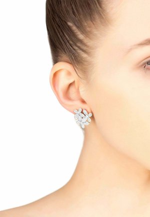 Orecchini d'argento a forma di fiore con molte piccole pietre scintillanti disposte in schemi simili a petali, su uno sfondo bianco.
