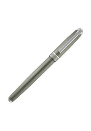 Sleek gray fountain pen with silver clip, cap band engraved with brand name, and rounded ends on white background.