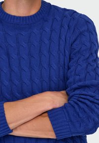 Kabelstrikket sweater i strålende blå, med rund halsudskæring og ribbede manchetter. Teksturen består af sammenflettede mønstre hele vejen igennem.
