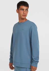 Lyseblå sweatshirt med rund hals, lange ærmer, ribbede manchetter og et lille logo på brystet. Blød tekstur og afslappet pasform.