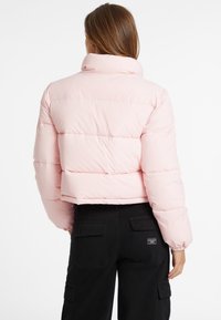 Iškirpta, šviesiai rožinė pūkinė striukė su plačiu horizontaliu siuvinėjimu ir aukštu apykakle. Suderinta su juodomis kargo kelnėmis su užpakalinėmis kišenėmis.