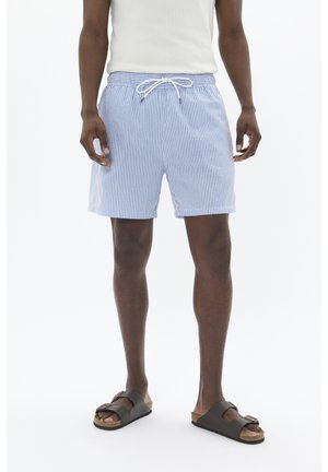 Gestreepte zwemshorts in blauw en wit, met een elastische tailleband en koord. G gedragen met bruine slidesandalen.