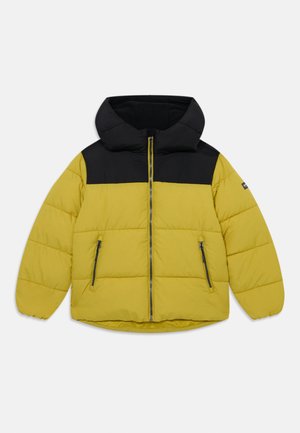 KENMARE UNISEX - Veste d'hiver - olive