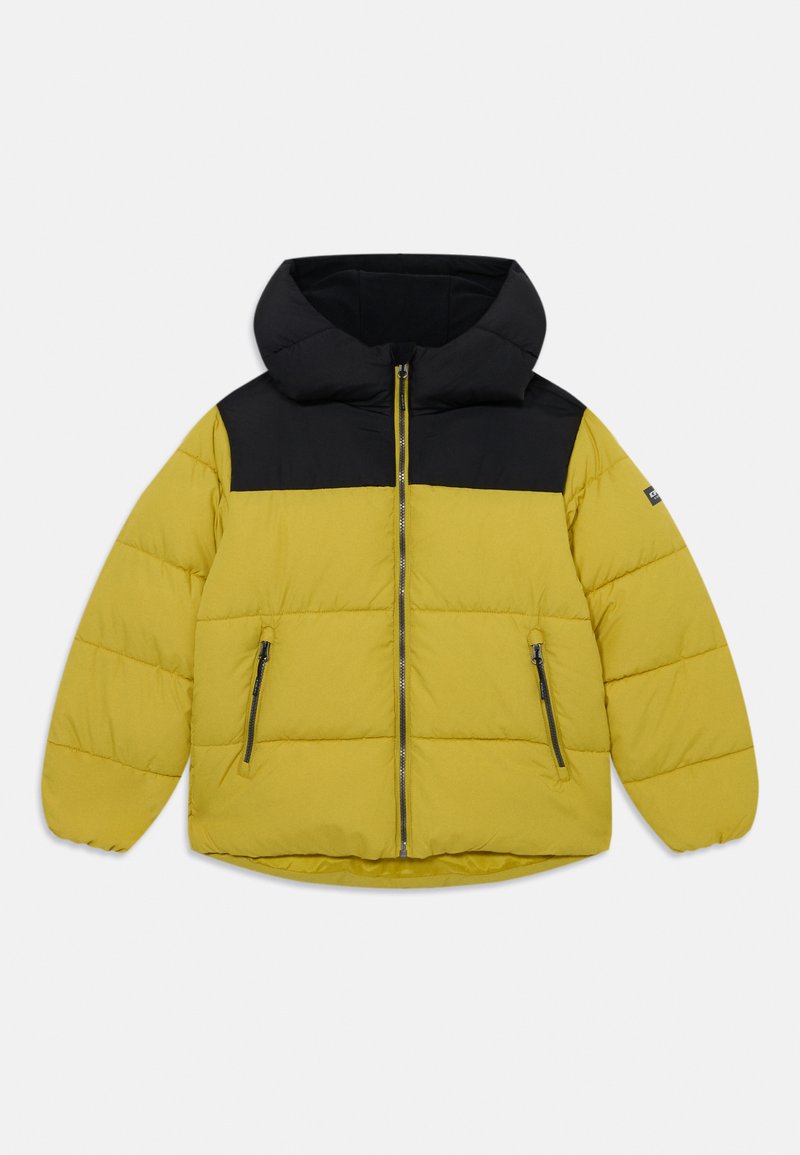 Icepeak KENMARE UNISEX - Vinterjakke - olive