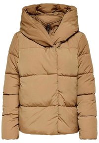Giacca imbottita marrone con un ampio cappuccio, dotata di chiusura frontale con cerniera e pannelli imbottiti orizzontali per l'isolamento. Texture liscia e lucida.