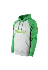 Felpa grigia con maniche raglan verdi, dotata di tasca frontale, cappuccio con lacci e logo stampato in verde sul petto.
