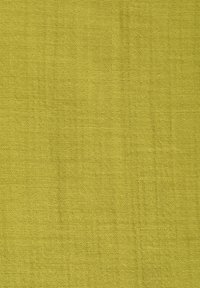Gabbiano SHORTSLEEVE OPEN NECK - Pluus - apple green