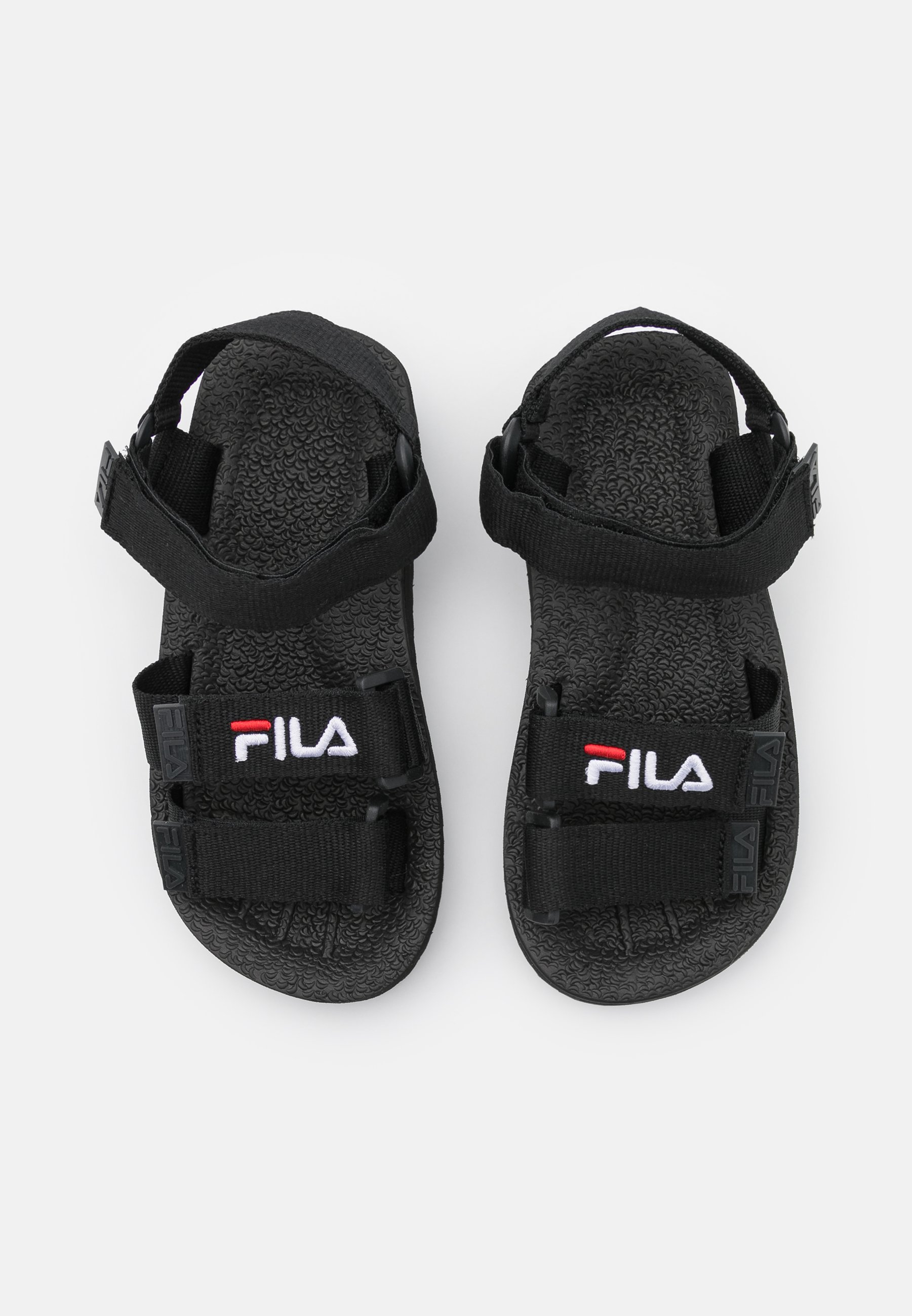 fila tomaia