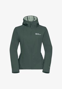 Non sélectionné, sago palm