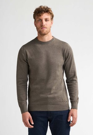 Petrol Industries, FINE-KNIT JUMPER STEAMBOAT - Trui - mossy stone