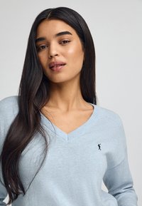 Ljusblå v-neck tröja i mjukt stickat tyg. Har en liten svart logotyp på bröstet och en avslappnad passform med långa ärmar.