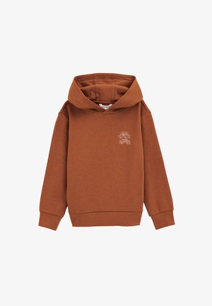 BLUE RIDGE - Pulover s kapuco - rust brown