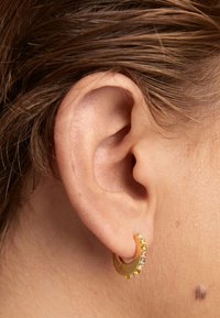 Orecchini a cerchio in oro con piccoli diamanti trasparenti incastonati lungo il bordo anteriore. Texture liscia, forma circolare, indossati in un orecchio perforato.