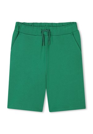BERM UNI À POCHES - Shorts - loden