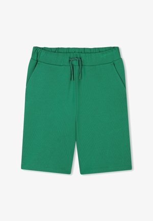 Shorts en coton verts avec une taille élastique, cordon de serrage et deux poches latérales. Texture lisse, design longueur genou.