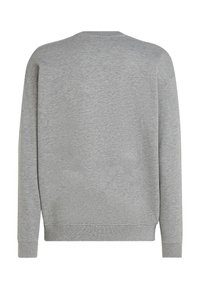 Grijze sweatshirt met een klassieke ronde hals, relaxed fit en ribgebreide manchetten. Gladde textuur zonder zichtbare patronen of logo's op de achterkant.