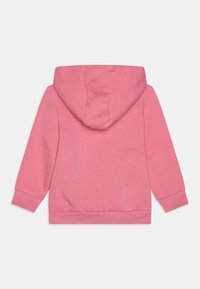 Felpa rosa con cappuccio, maniche lunghe, polsini e orlo a costine. Tessuto liscio con una vestibilità comoda. Nessun motivo o dettaglio aggiuntivo presente.