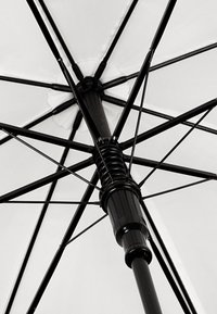 Zwarte paraplu interieur met witte canopy stof, centrale zwarte paal en zwarte spaken die vanuit de centrale hub naar buiten stralen.