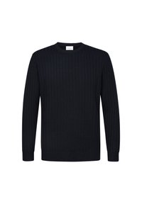 PROFUOMO Strickpullover - navy