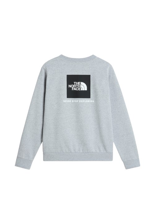 The North Face M EVOLUTION BOX NSE REGULAR CREW. - Sweatshirt - tnf pale grey heather — photo 6