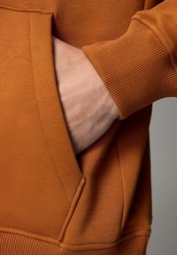 Next RICH - Hoodie - ochre