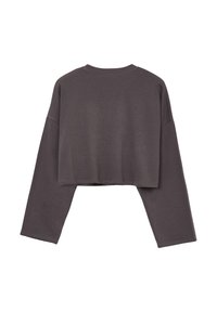 Felpa grigia corta con maniche lunghe, realizzata in tessuto morbido, con scollatura rotonda e design semplice senza decorazioni.