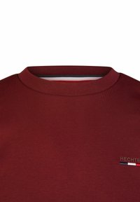 Bordeaux-hoody met een ribbelende ronde hals, met een klein geborduurd logo in grijs met rode, witte en blauwe accenten aan de zijkant.