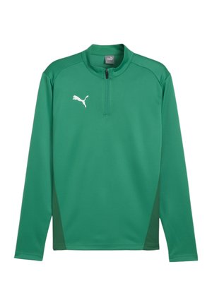 FUSSBALL-TEAMS-GOAL TRAINING 1/4 ZIP - Langarmshirt - gruengruen