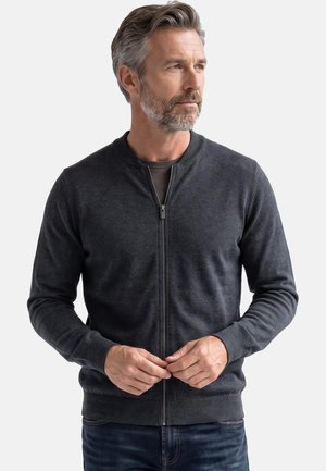 Uomo con capelli grigi e barba che indossa un maglione grigio scuro con zip e jeans blu, guarda di lato con le mani vicino alla zip.