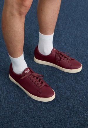 BRADLEY VEGAN - Baskets basses - bordeaux grape