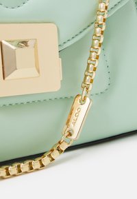 Mintgrön handväska i slät syntetisk läder, guldtonad kedjesnor, rektangulärt spänne med fasetterad design och ALDO-logotagg.