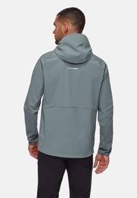 Uomo che indossa una giacca a cappuccio blu tenue con il logo "MAMMUT" sulla parte superiore della schiena, abbinata a pantaloni neri, di spalle su uno sfondo bianco.