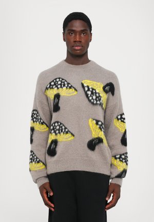 SWEATER - Strickpullover - grey