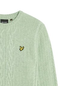 Pullover lavorato a maglia verde chiaro con motivo a trecce e un piccolo logo nero e giallo sul petto. Collo rotondo e polsini a coste.