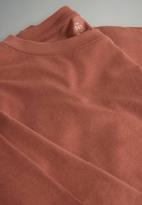 T-shirt i rostfärg med en mjuk textur, utrustad med en klassisk rund halsringning och synliga sömnadsdetaljer vid kragen och ärmarna.