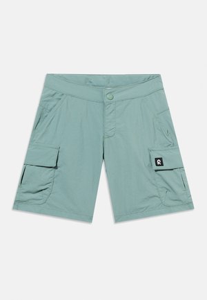 Lys grønne cargoshorts med to forlommer, to sidelommer med klap og knaplukning i taljen, vist på en hvid baggrund.