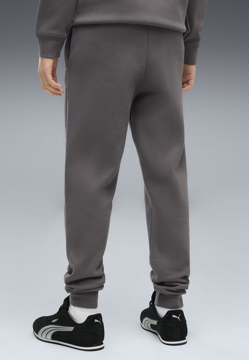 PUMA ESSENTIALS ELEVATED JOGGINGHOSE UNISEX - Tracksuit bottoms - moody gray — photo 4
