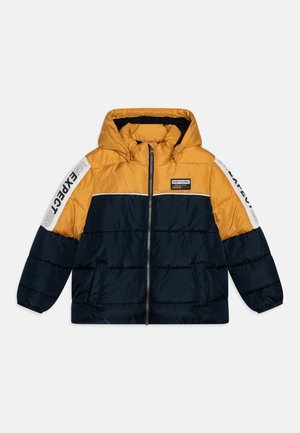 Chaqueta de invierno - multi-coloured