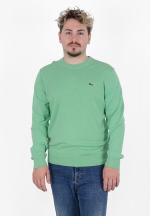Maglione verde chiaro realizzato in morbido tessuto a maglia, con scollatura rotonda e polsini e orlo a costine, caratterizzato da un logo accentato sul petto.