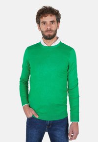Maglione verde lavorato a maglia con scollo rotondo, maniche lunghe e orlo a coste, abbinato a jeans blu scuro e una camicia bianca con colletto sotto.