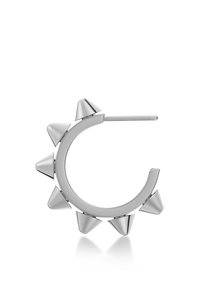 Hõbedast kõrvarõngas, millel on kõver kuju ja kuus ühtlaselt ümberringi paigutatud piiki. Sile, särav tekstuur.