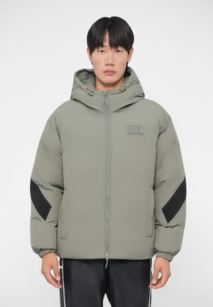 MOUNTAIN HOODED JACKET LOGO - Zimná bunda - mulled basil